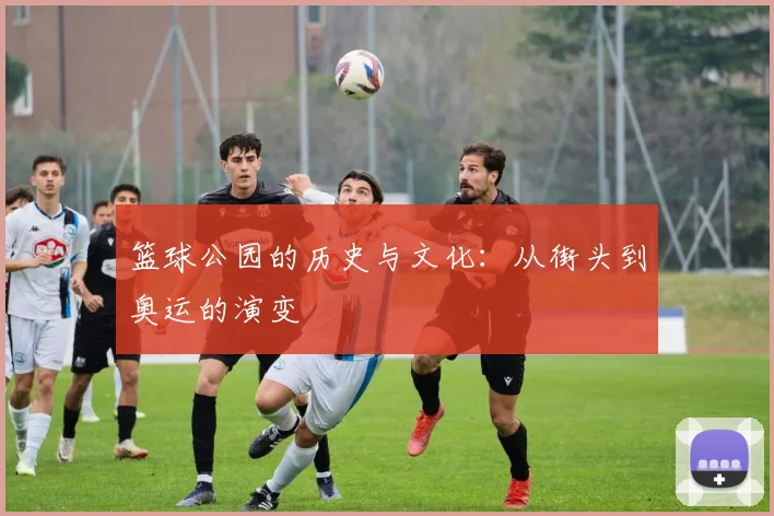 篮球公园的历史与文化：从街头到奥运的演变